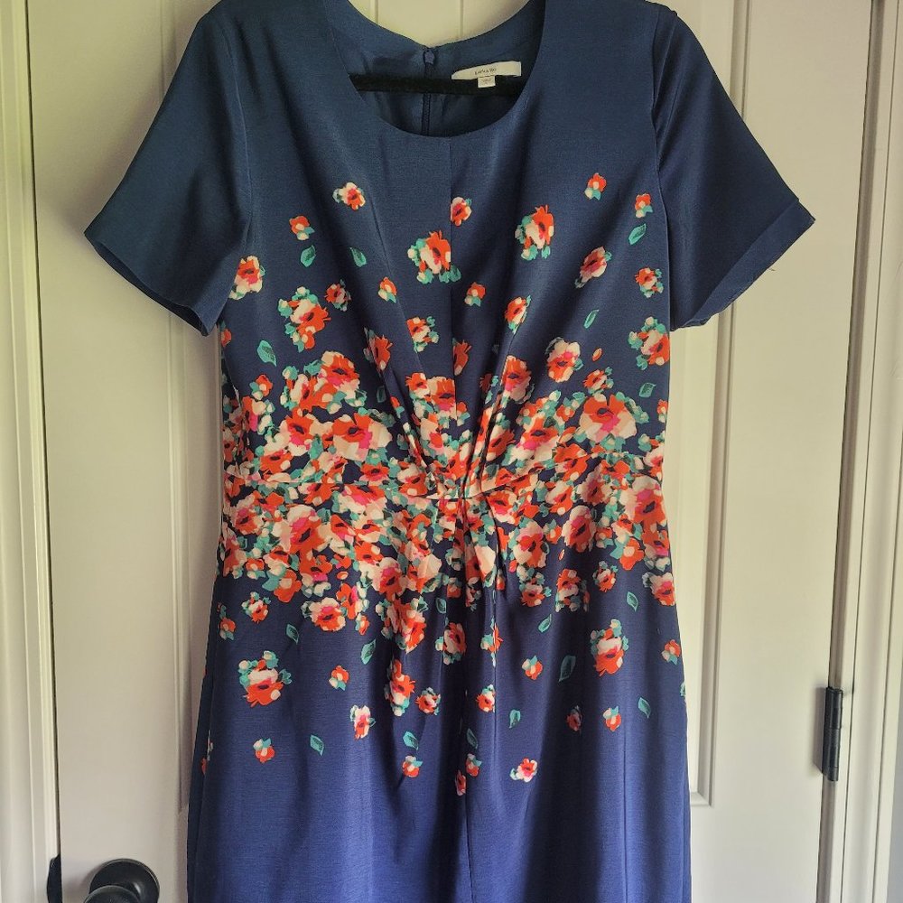 Lark and Ro Dress Womens sz L (12) Navy Blue with red and pink flowers